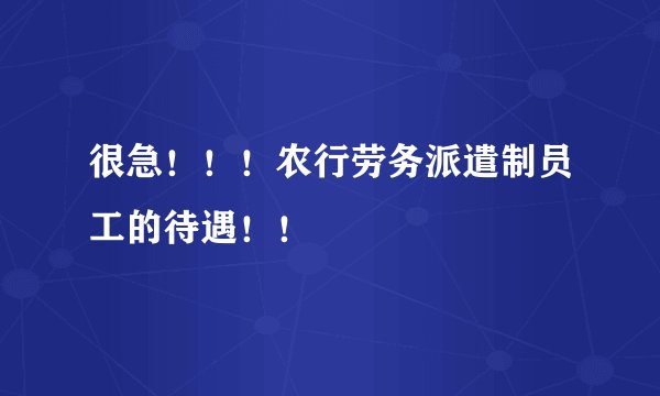 很急!!!农行劳务派遣制员工的待遇!!