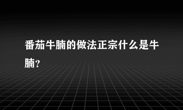 番茄牛腩的做法正宗什么是牛腩？
