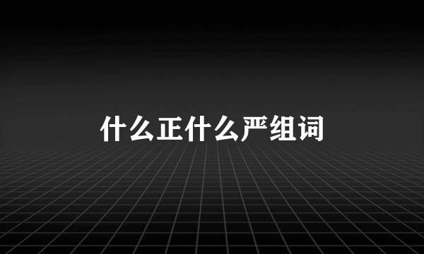 什么正什么严组词