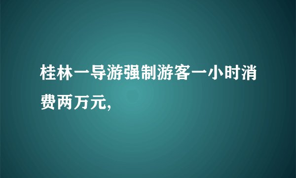 桂林一导游强制游客一小时消费两万元,