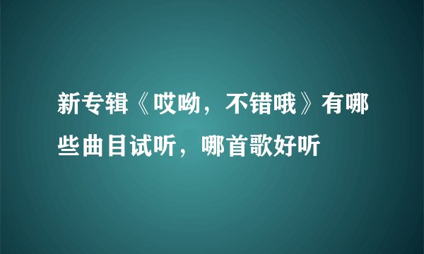 新专辑《哎呦，不错哦》有哪些曲目试听，哪首歌好听