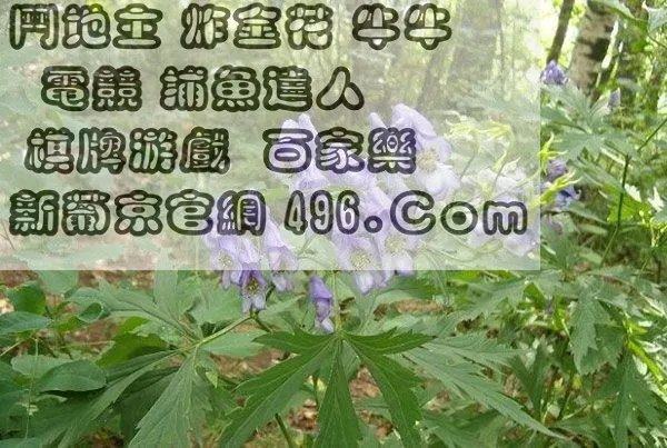 南通长牌是怎样算胡？