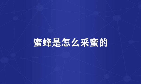 蜜蜂是怎么采蜜的