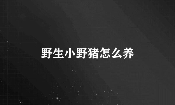 野生小野猪怎么养