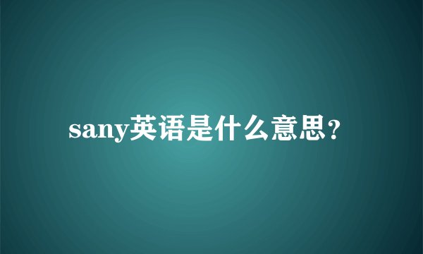 sany英语是什么意思？