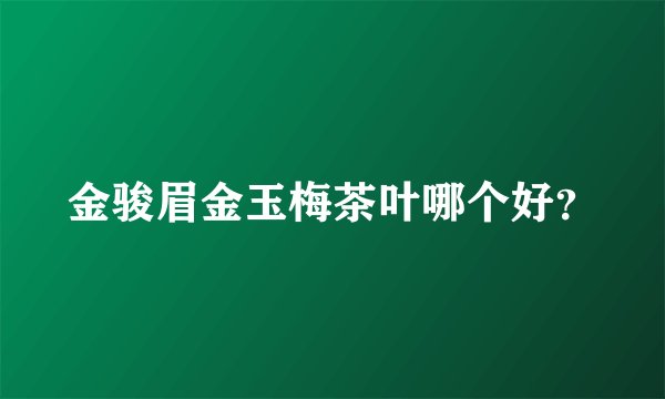 金骏眉金玉梅茶叶哪个好？