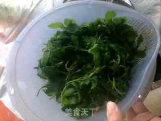 家乡马兰头