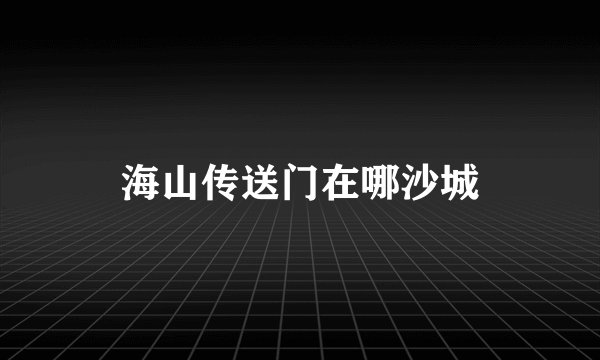 海山传送门在哪沙城