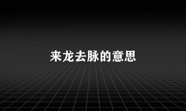 来龙去脉的意思