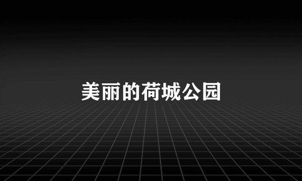美丽的荷城公园