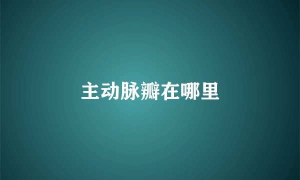 主动脉瓣在哪里