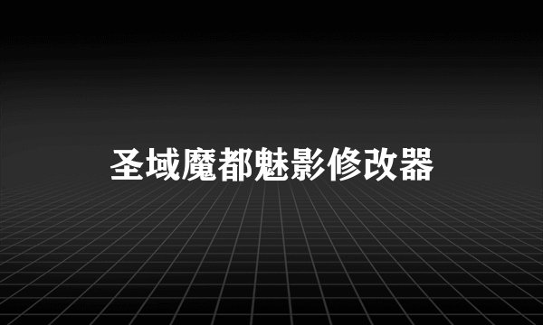 圣域魔都魅影修改器