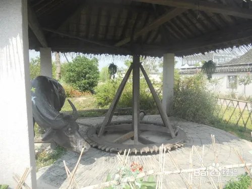 假期旅游之上海金山廊下生态园