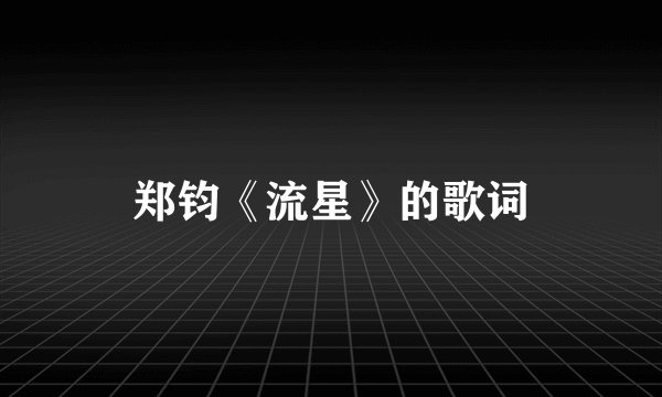 郑钧《流星》的歌词