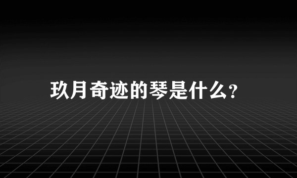 玖月奇迹的琴是什么？