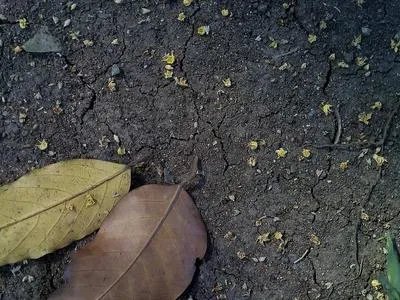 如何治疗女性脱发呢