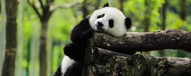 食铁兽是什么动物 食铁兽是什么