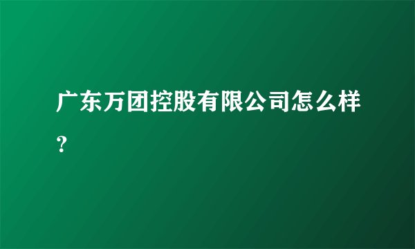 广东万团控股有限公司怎么样？