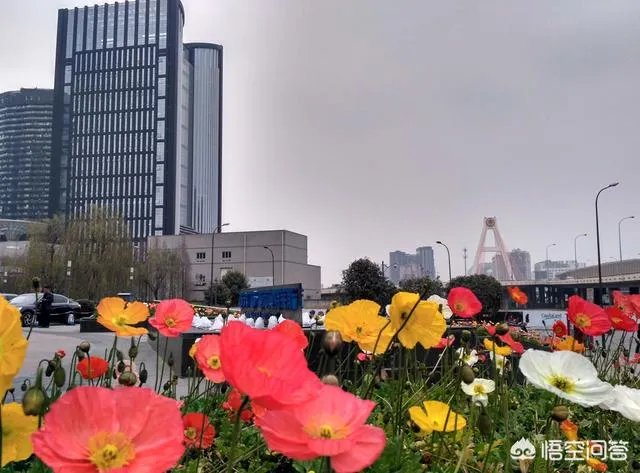 2022世乒赛为何花落成都?