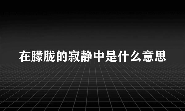在朦胧的寂静中是什么意思
