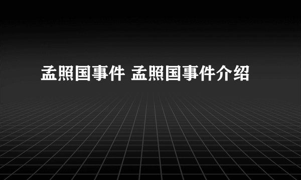 孟照国事件 孟照国事件介绍