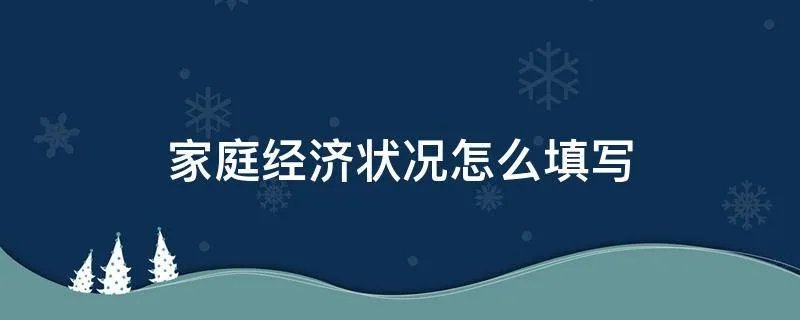 家庭经济状况怎么填写