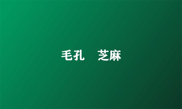 毛孔 芝麻