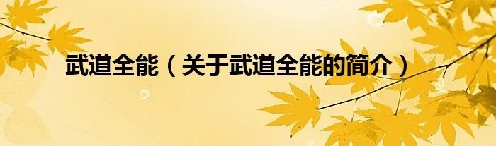 武道全能（关于武道全能的简介）