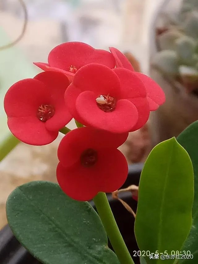 陕西疫情现在如何?