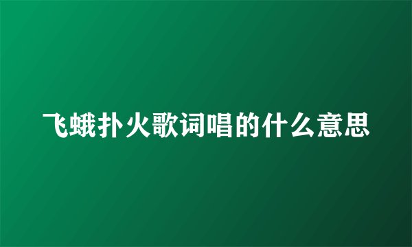 飞蛾扑火歌词唱的什么意思