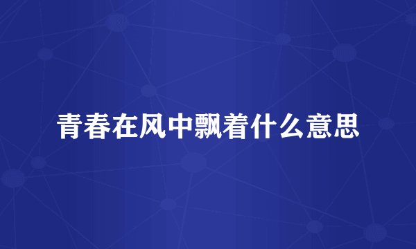 青春在风中飘着什么意思