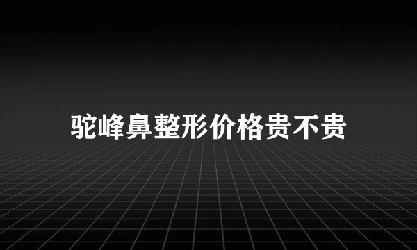驼峰鼻整形价格贵不贵