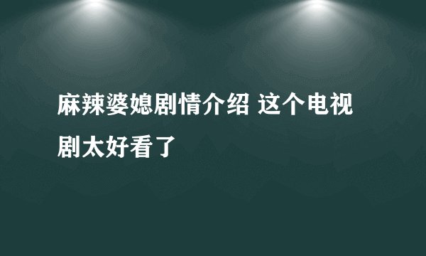 麻辣婆媳剧情介绍 这个电视剧太好看了