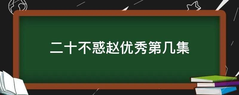 二十不惑赵优秀第几集