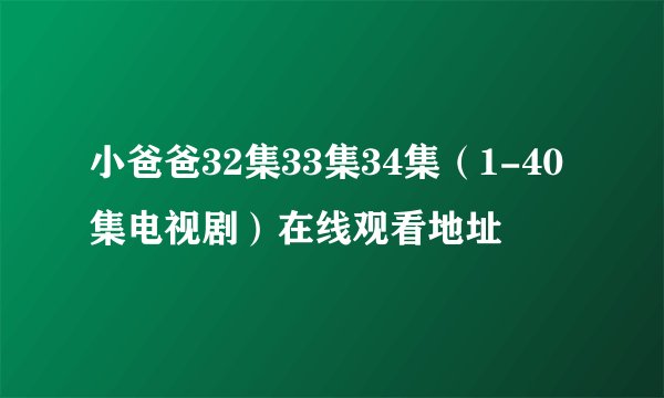 小爸爸32集33集34集（1-40集电视剧）在线观看地址
