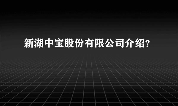 新湖中宝股份有限公司介绍？