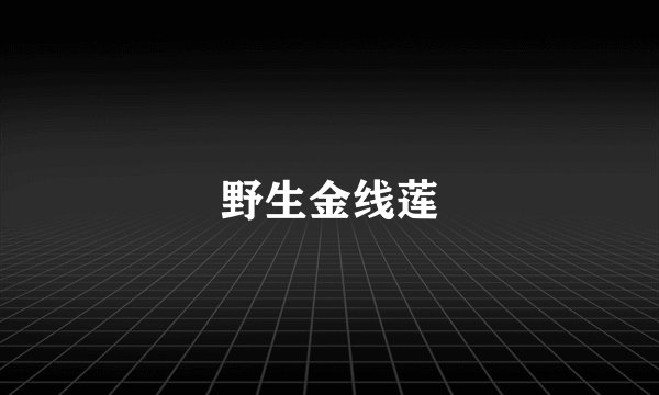 野生金线莲