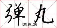 弹丸