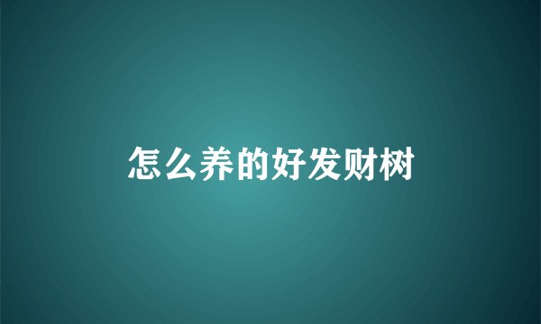 怎么养的好发财树