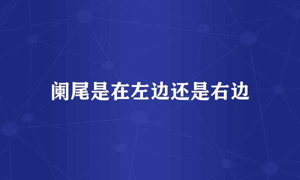 阑尾是在左边还是右边