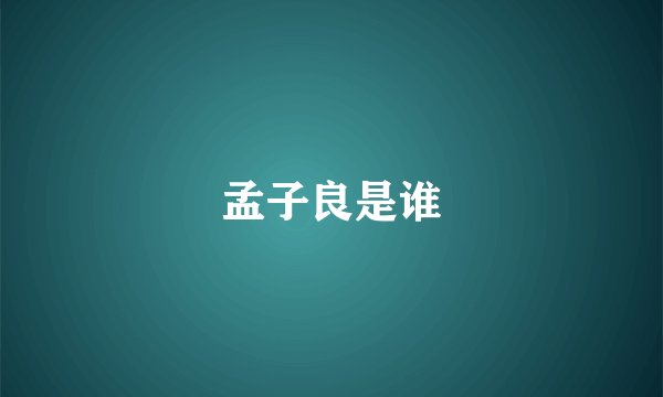 孟子良是谁