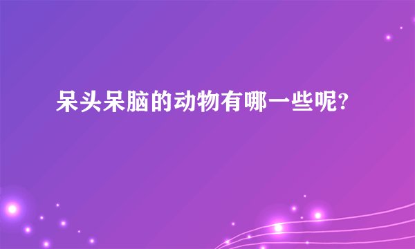 呆头呆脑的动物有哪一些呢?