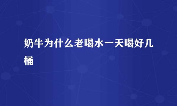 奶牛为什么老喝水一天喝好几桶