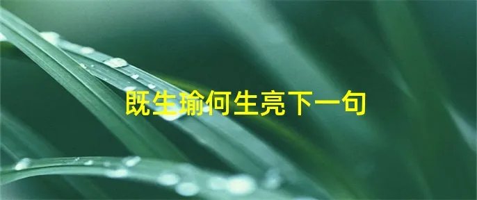既生瑜何生亮下一句