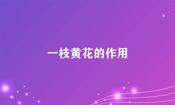 一枝黄花的作用
