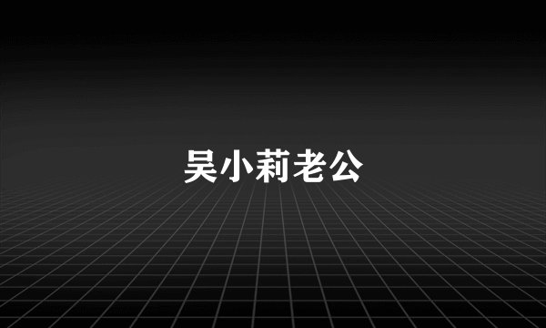 吴小莉老公