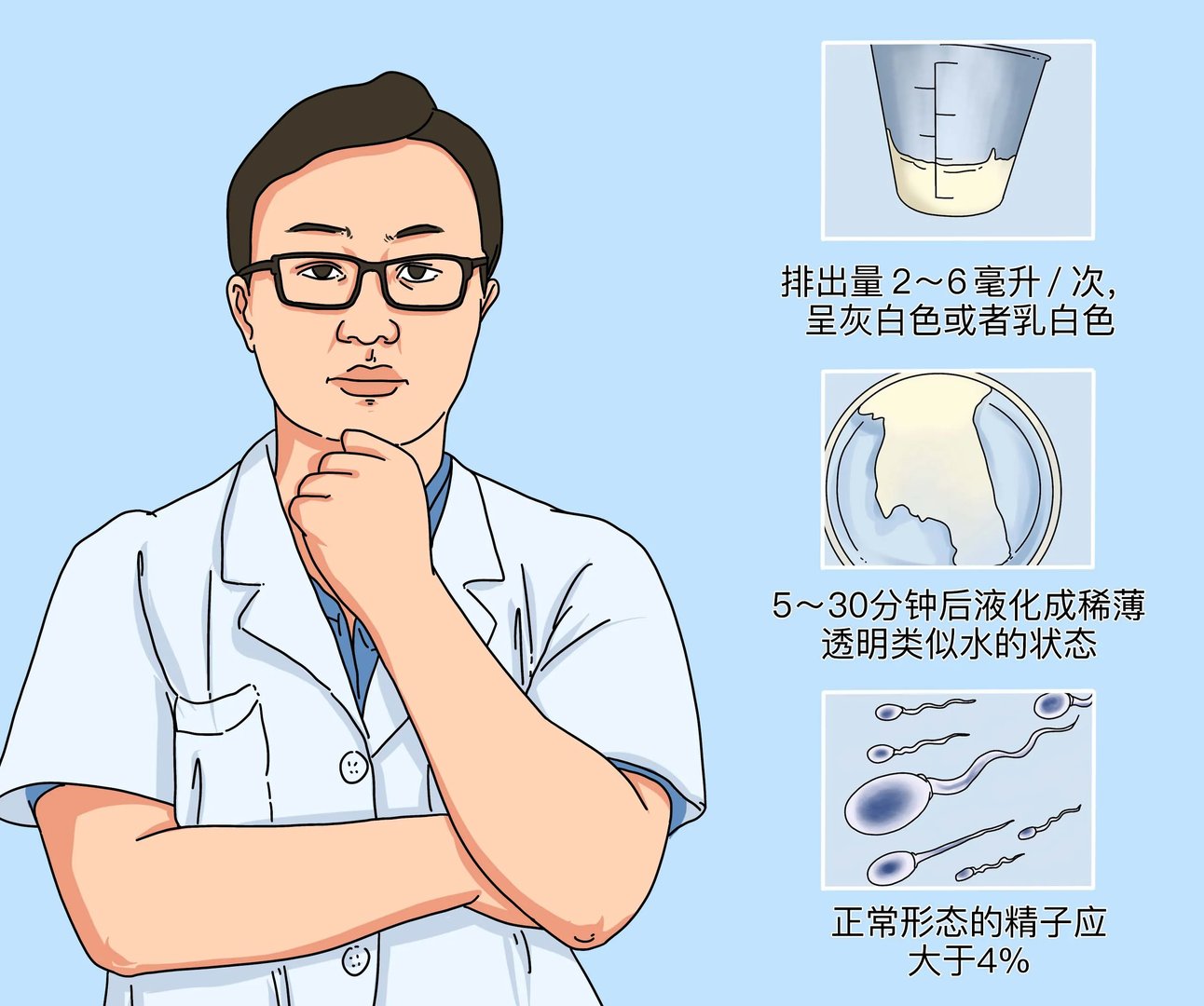 正常的精子质量标准