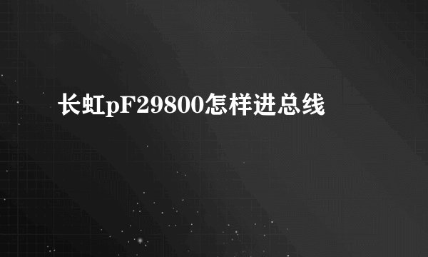 长虹pF29800怎样进总线