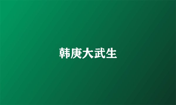韩庚大武生