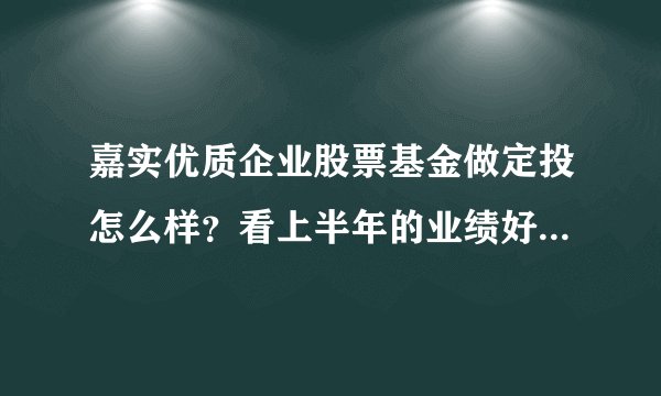 嘉实优质企业股票基金做定投怎么样？看上半年的业绩好像是蛮不错的。